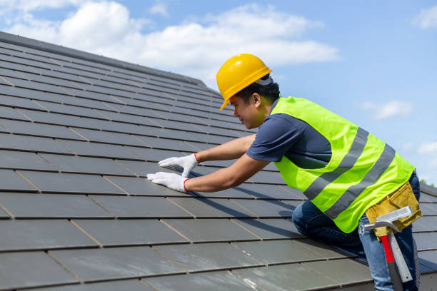 Best Storm Damage Roof Repair  in Taylor Creek, OH