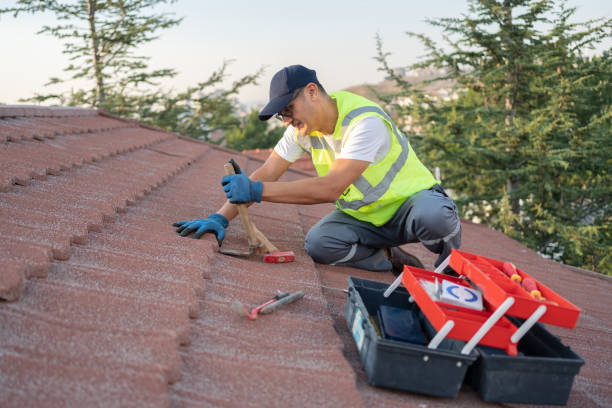 Best New Roof Installation  in Taylor Creek, OH